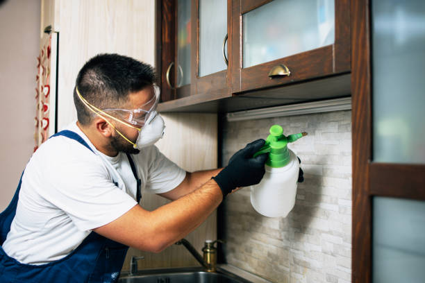 Best Commercial Pest Control Services  in Arbury Hls, IL