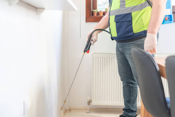 Best Wasp Removal Services  in Arbury Hls, IL