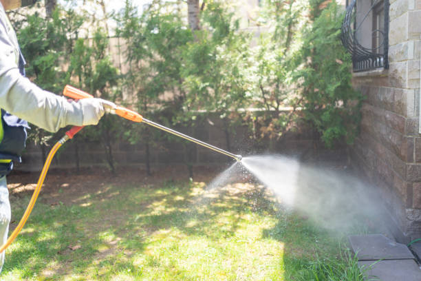Best Affordable Pest Control Services  in Arbury Hls, IL