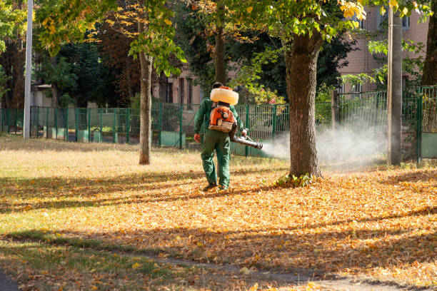 Best Cockroach Control Services  in Arbury Hls, IL